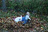 Grandma and Madeline in the leaves