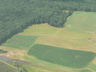 Kimball Farm Maze