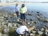 At Tide Pools