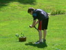 Watering Basil