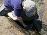 Tide Pool